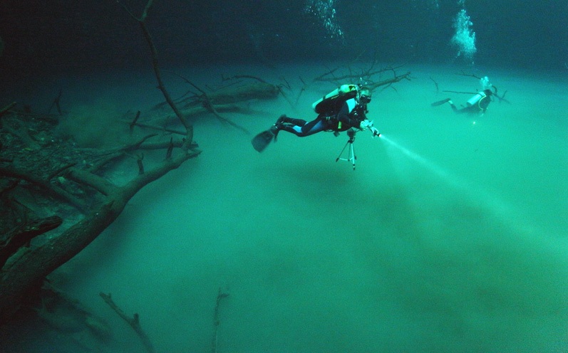 Los 10 cenotes más impresionantes en Playa del Carmen Tips Para Tu Viaje