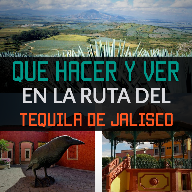 Que Hacer Y Ver En La Ruta Del Tequila De Jalisco