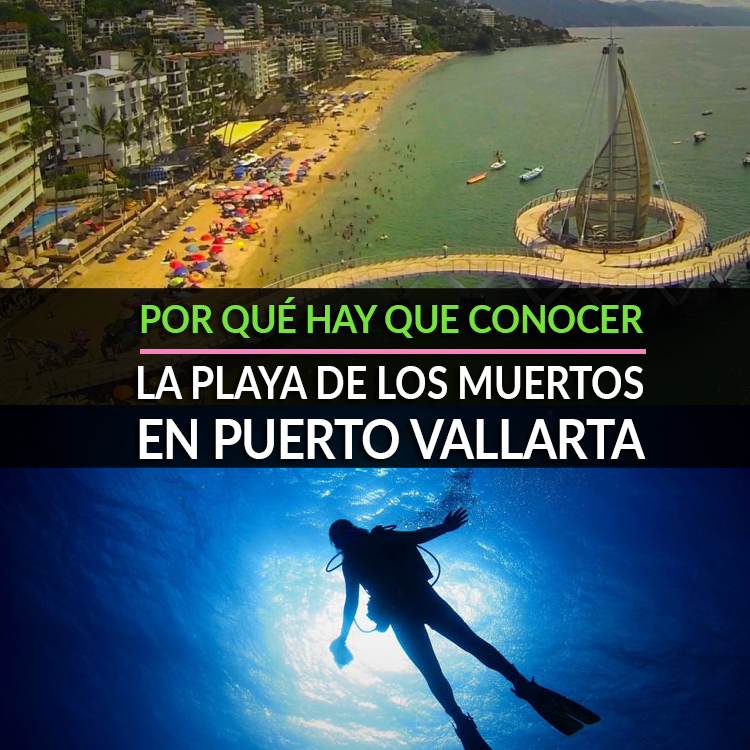 Popular en elutilitario.com
