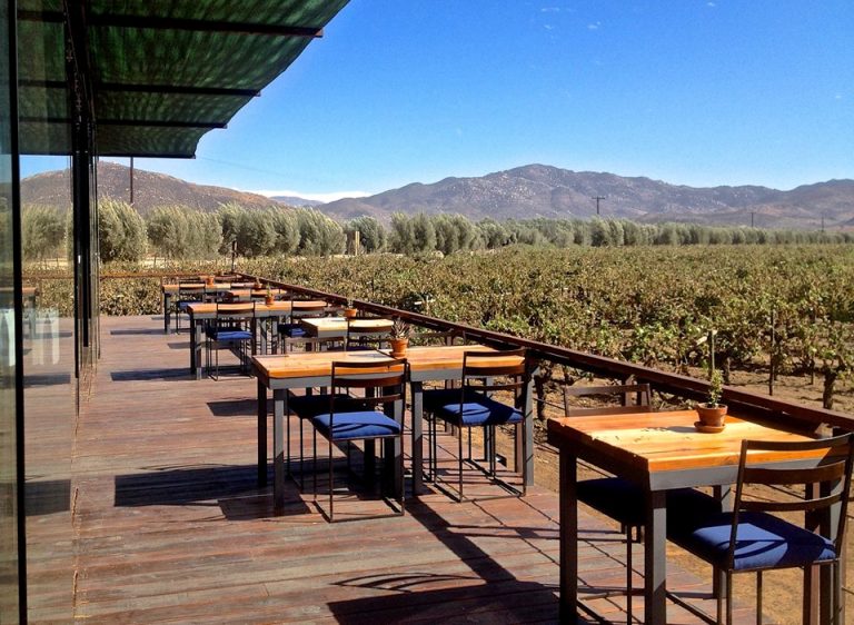 Los 12 Mejores Restaurantes En Valle De Guadalupe Tips Para Tu Viaje