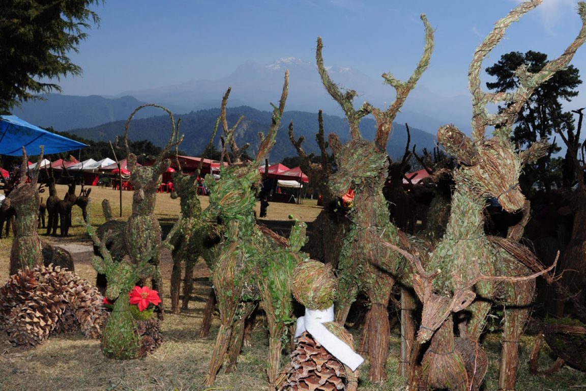 Parque De Los Venados Acariciables Amecameca Lo Que Debes Saber