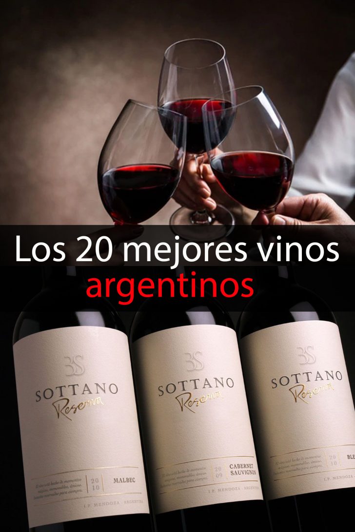 Los Mejores Vinos Argentinos Que Debes Probar Tips Para Tu Viaje