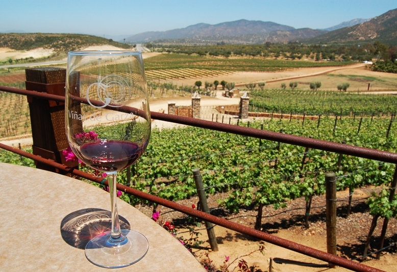 baja california wine tour