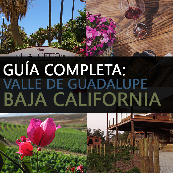 Guía Completa De Valle De Guadalupe, Baja California