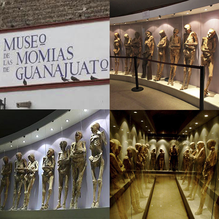Collection 99+ Images fotos de las momias de guanajuato Latest