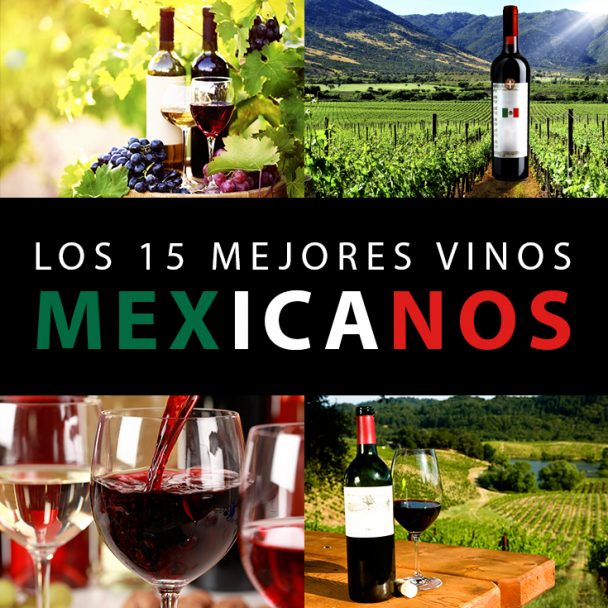 Los 15 Mejores Vinos Mexicanos Que Tienes Que Tomar - Tips Para Tu Viaje