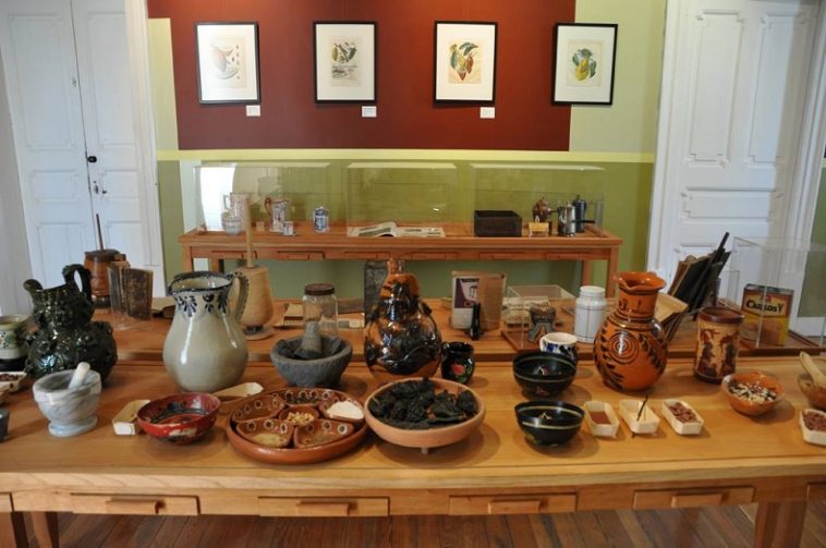 Museo Del Chocolate De La Ciudad De México Guía Definitiva Tips Para