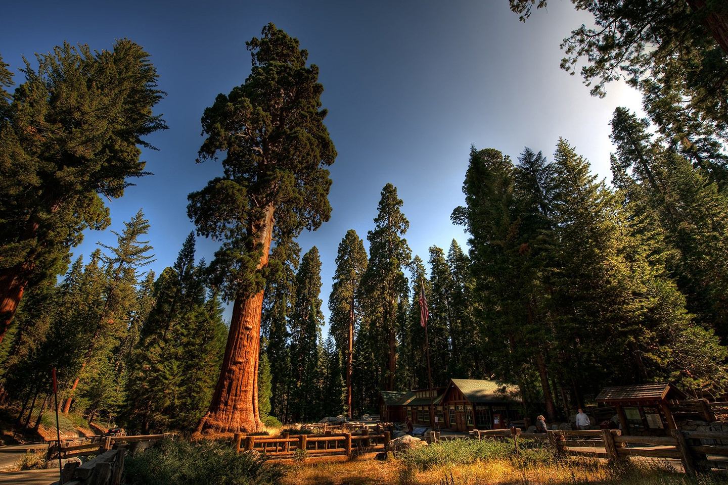 Los 24 Mejores Parques Nacionales De Estados Unidos Que ...