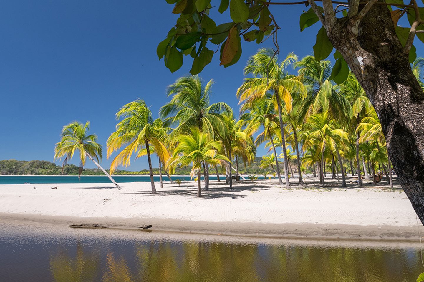 Top 15 mejores playas de Costa Rica que tienes que visitar Tips Para