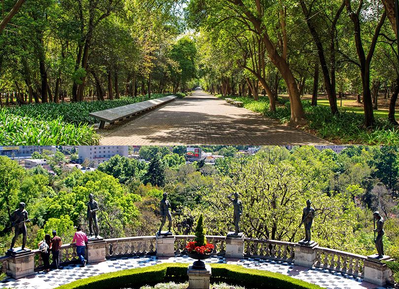 Bosque De Chapultepec En La Cdmx Guía Turística A Detalle Tips Para Tu Viaje 9442