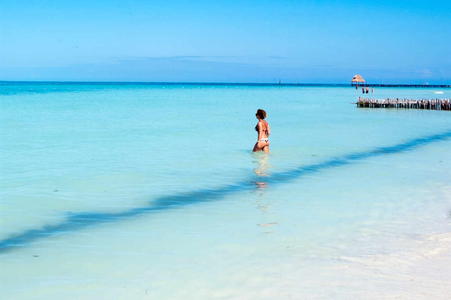 Cuál es mejor, Isla Mujeres o Cozumel? - Tips Para Tu Viaje
