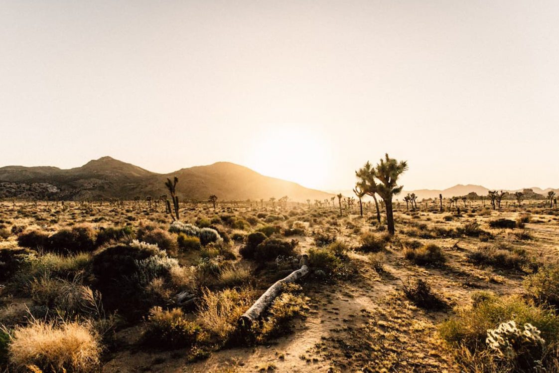 Las 15 Mejores Cosas Que Hacer En Baja California Sur - Tips Para Tu Viaje