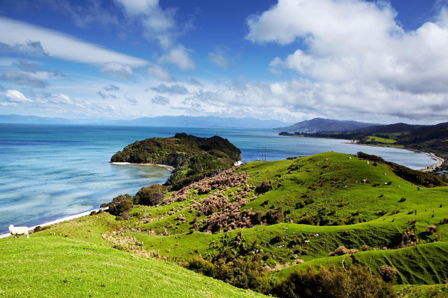 New zealand two islands. Новозеландия. Новая Зеландия климат. Новая Зеландия новая Зеландия климат.