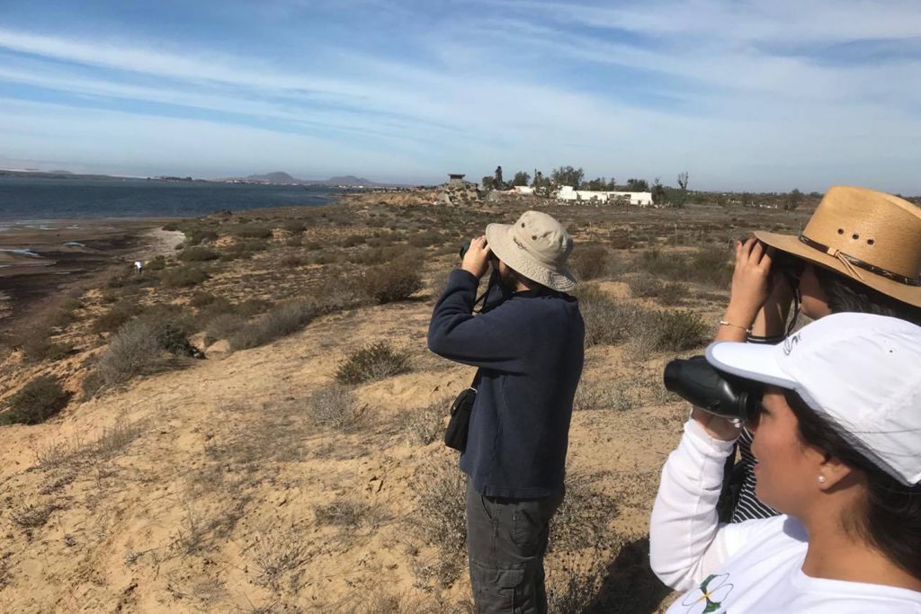 10 Cosas Que Hacer en San Quintín, Baja California Tips Para Tu Viaje