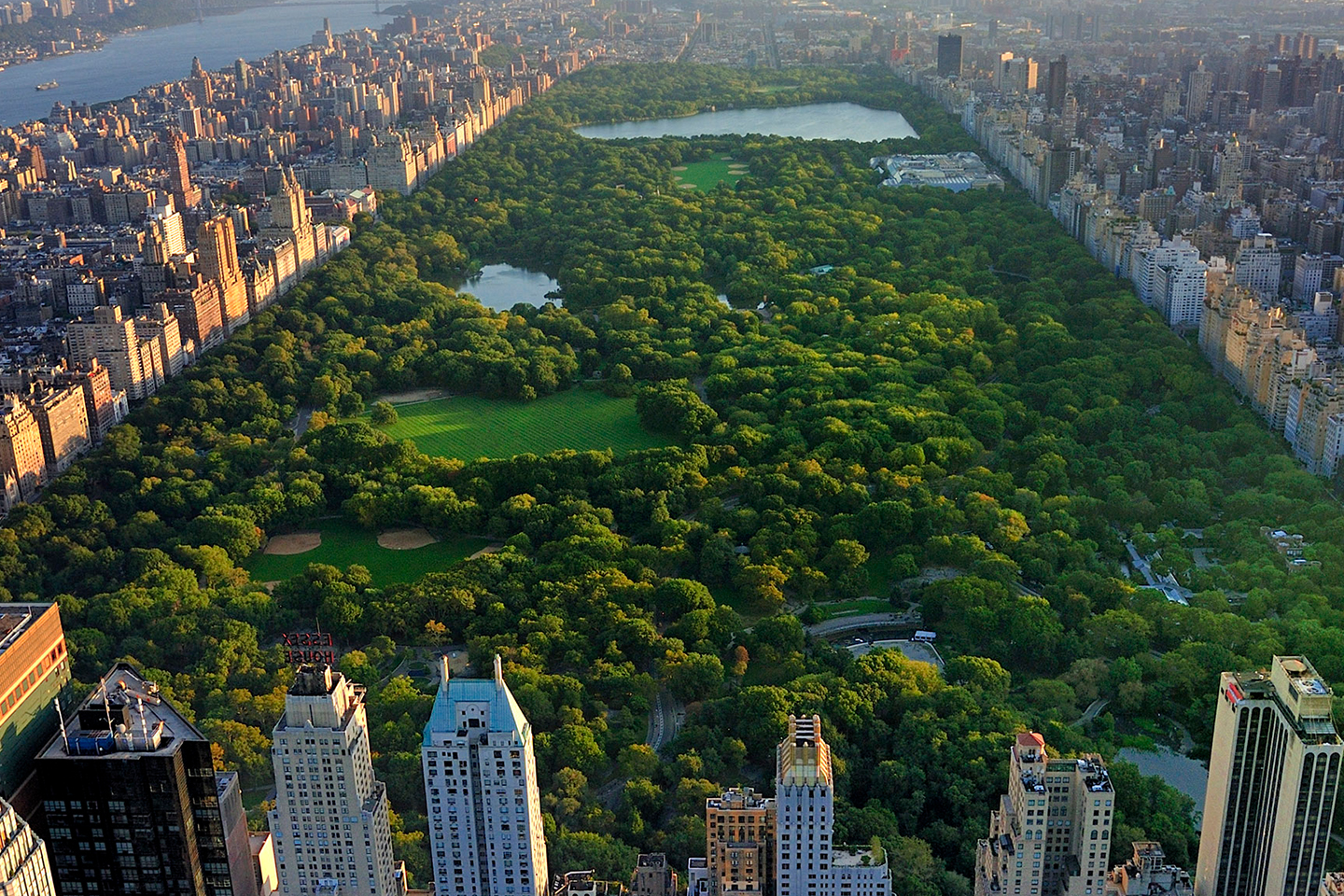 Центральный парк сайт. Central Park Нью Йорк. Центральный парк Манхэттен. Центральный парк, Нью-Йорк, США. Гайд парк Нью-Йорк.