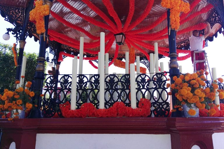 15 cosas que hacer y ver