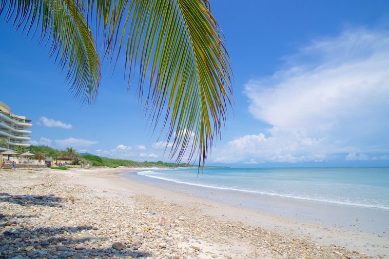 10 cosas que hacer y ver en Punta de Mita Tips Para Tu Viaje