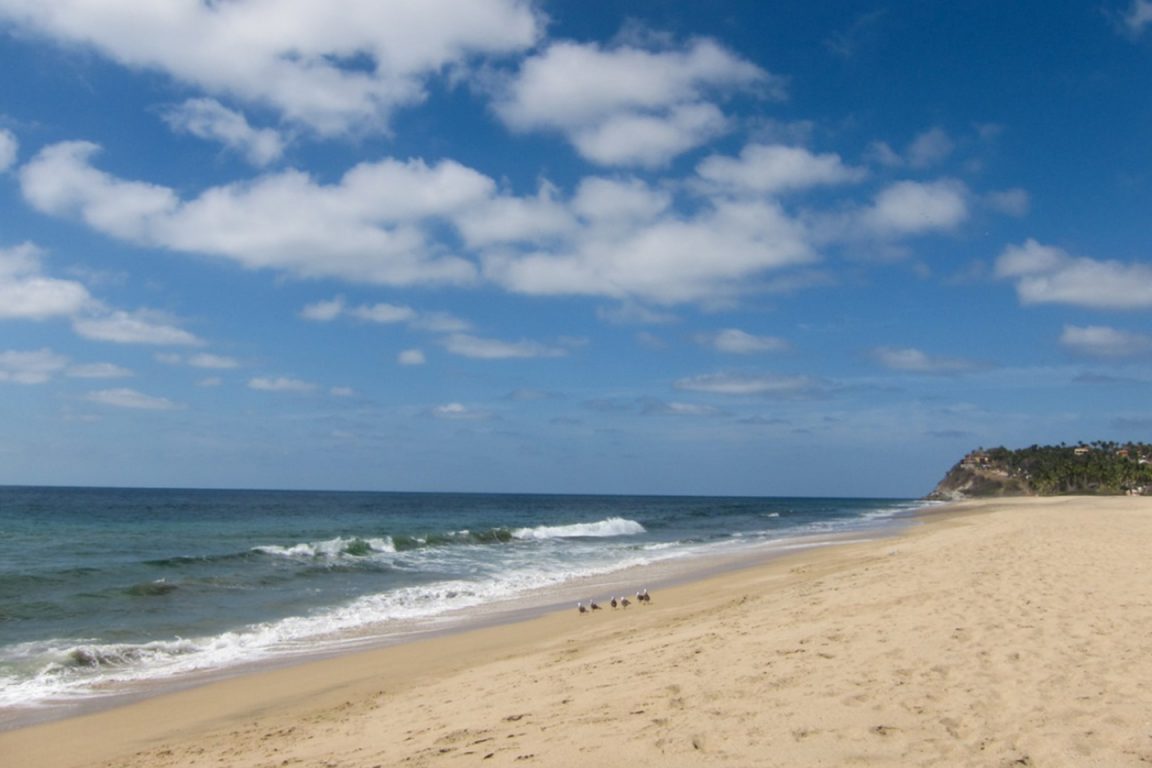 10 cosas que hacer y ver en Punta de Mita Tips Para Tu Viaje