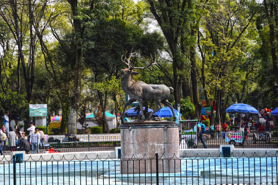 Parque de los Venados Acariciables (Amecameca) lo que debes saber Tips Para Tu Viaje