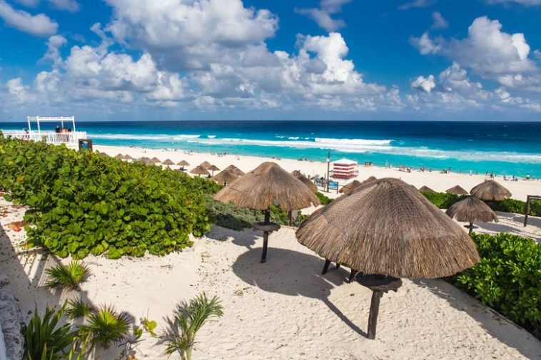 Playa Delfines, Cancún: Todo Lo Que Ocupas Saber - Tips Para Tu Viaje