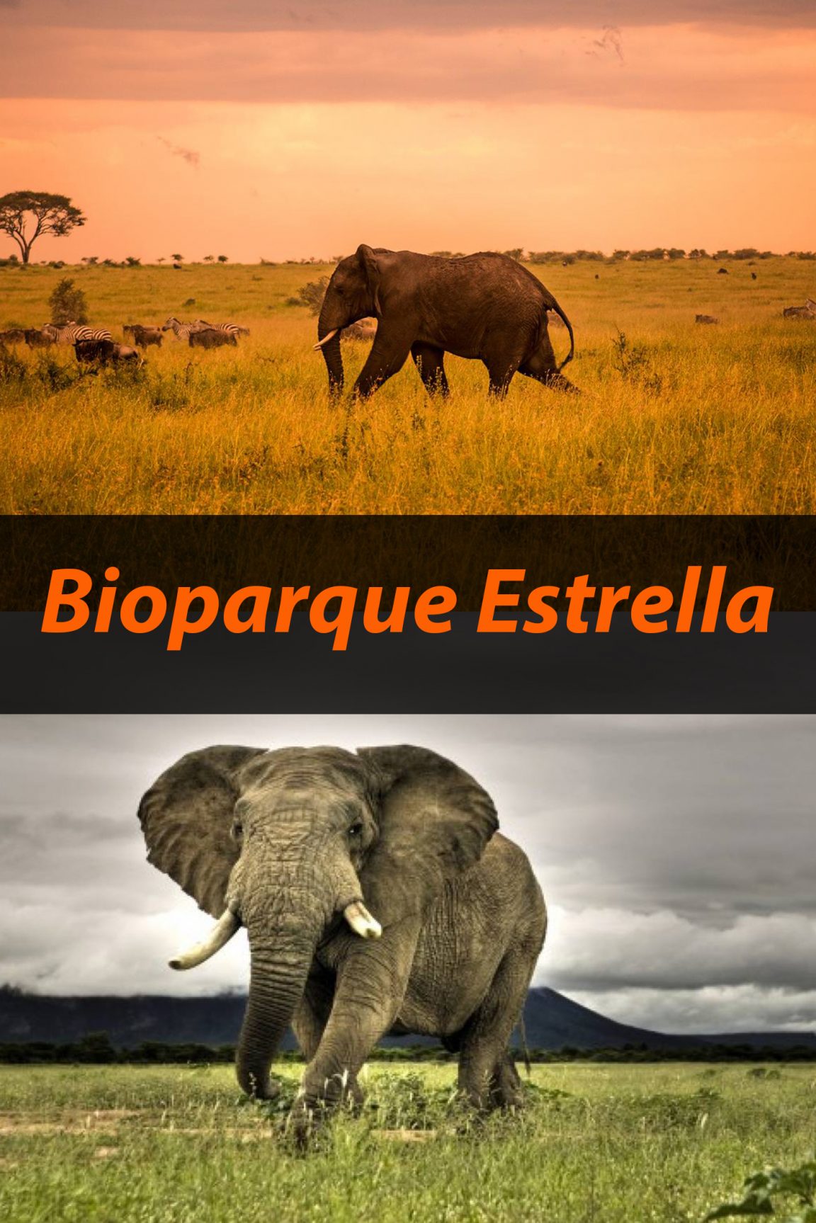 Bioparque Estrella México, todo lo que debes saber - Tips Para Tu Viaje