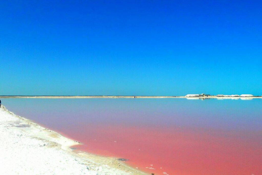 Las Coloradas Yucatán, el Lago Rosa: todo lo que debes saber - Tips ...