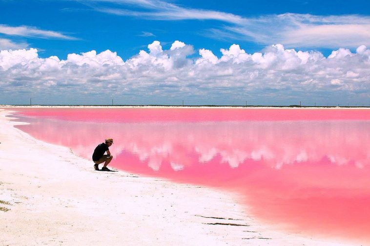 Las Coloradas Yucatán, el Lago Rosa: todo lo que debes saber - Tips ...