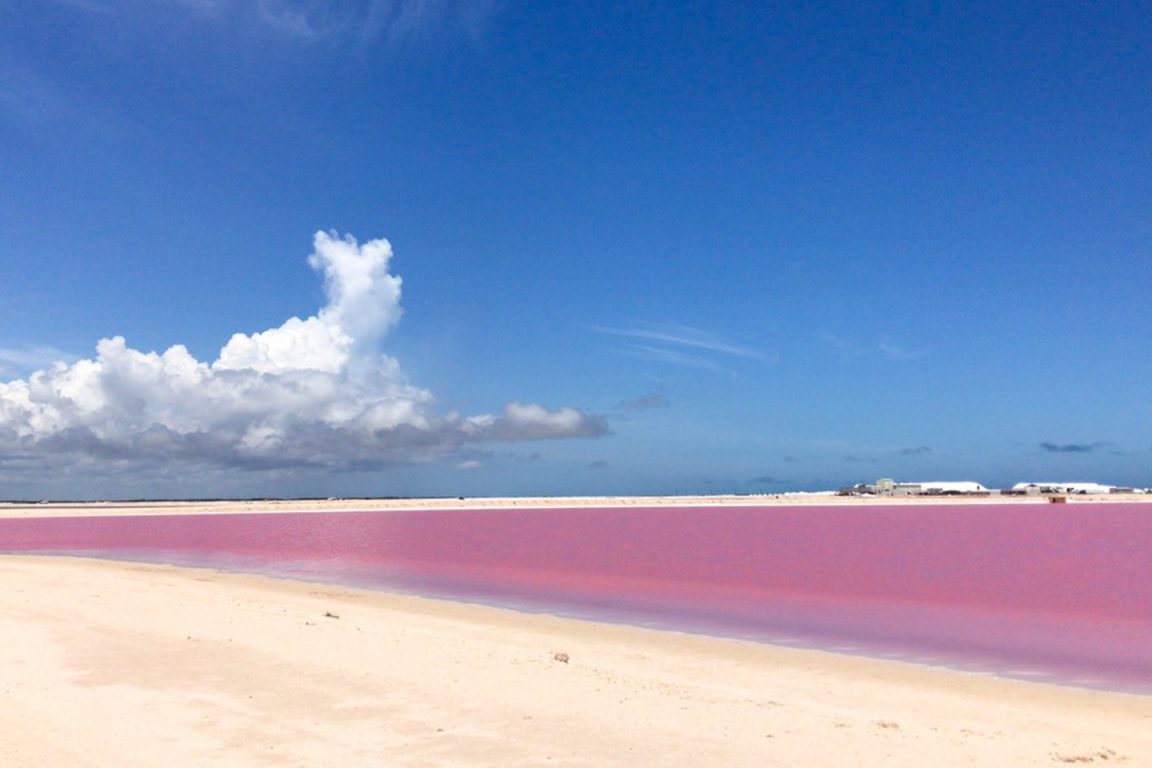 Las Coloradas Yucatán, el Lago Rosa: todo lo que debes saber - Tips ...