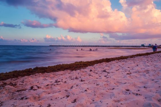 Dónde esta Playa Del Carmen, mapa y guía - Tips Para Tu Viaje