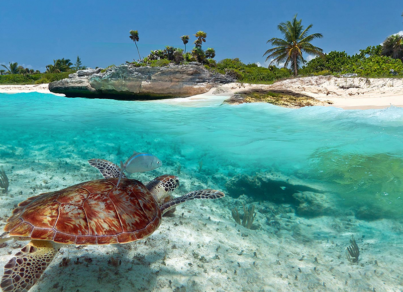 best excursions from playa del carmen