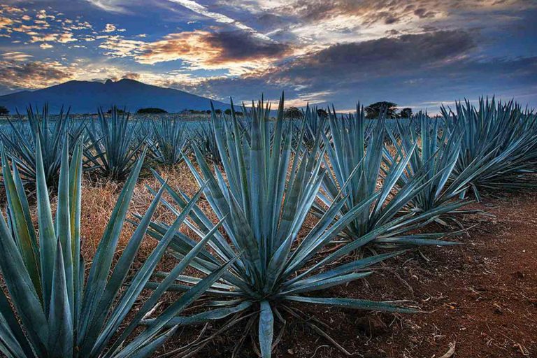 Las 10 Ciudades De Jalisco Que Tienes Que Visitar Tips Para Tu Viaje