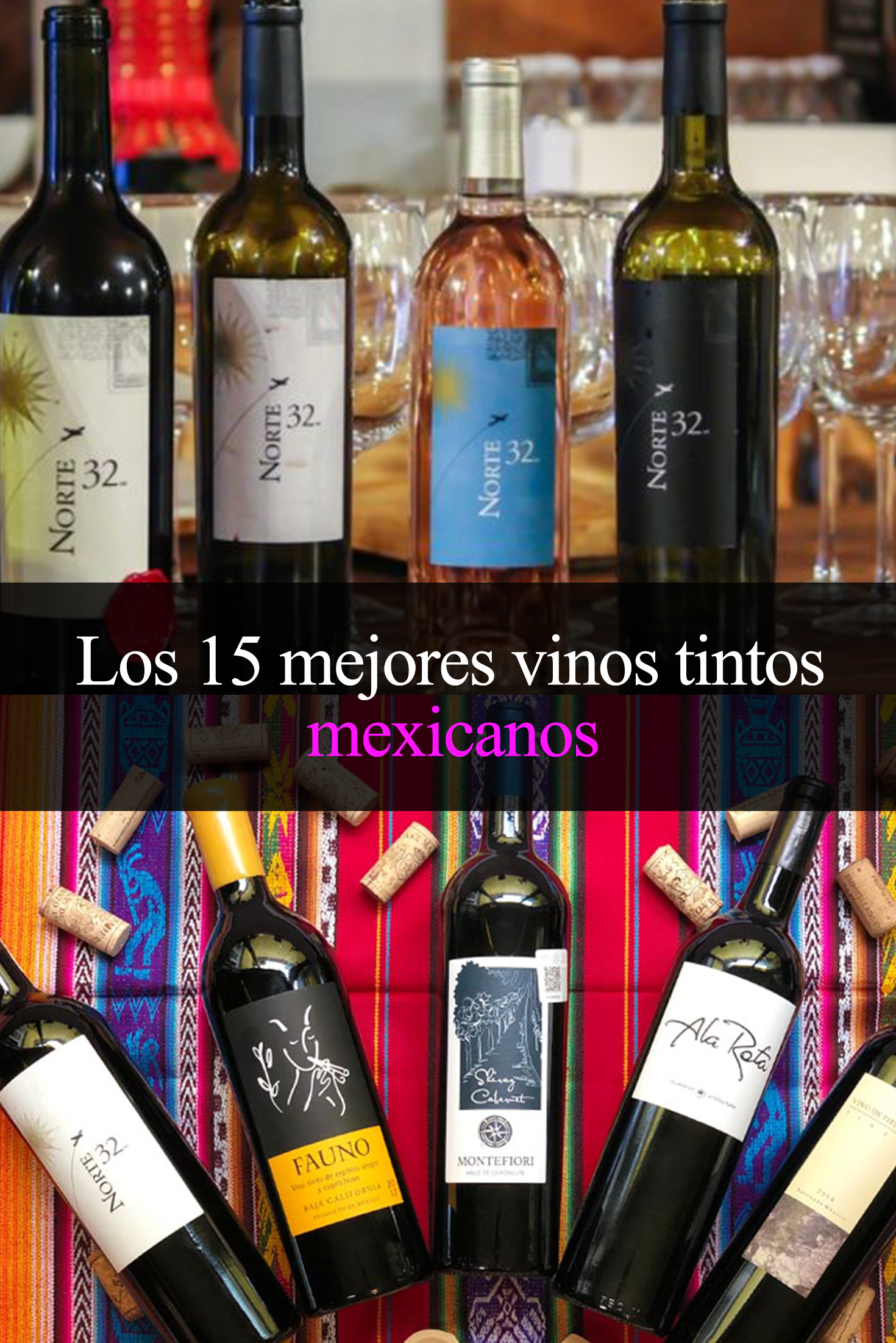 rociar por favor confirmar Lírico Los 15 mejores vinos tintos mexicanos que tienes que tomar - Tips Para Tu  Viaje