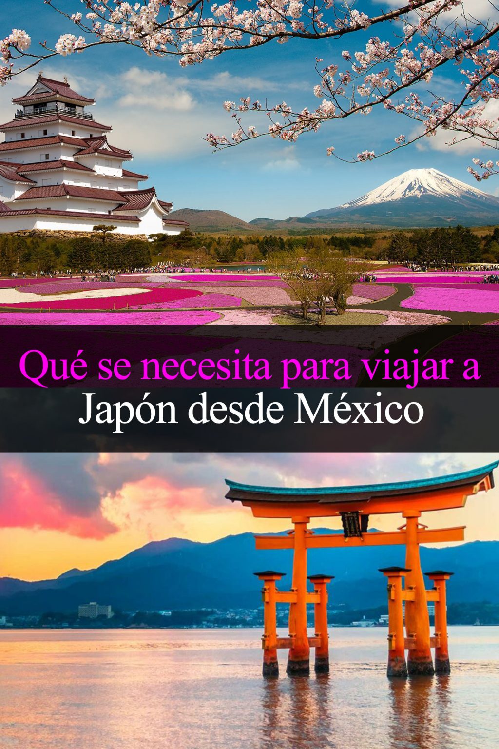 tour japon desde mexico