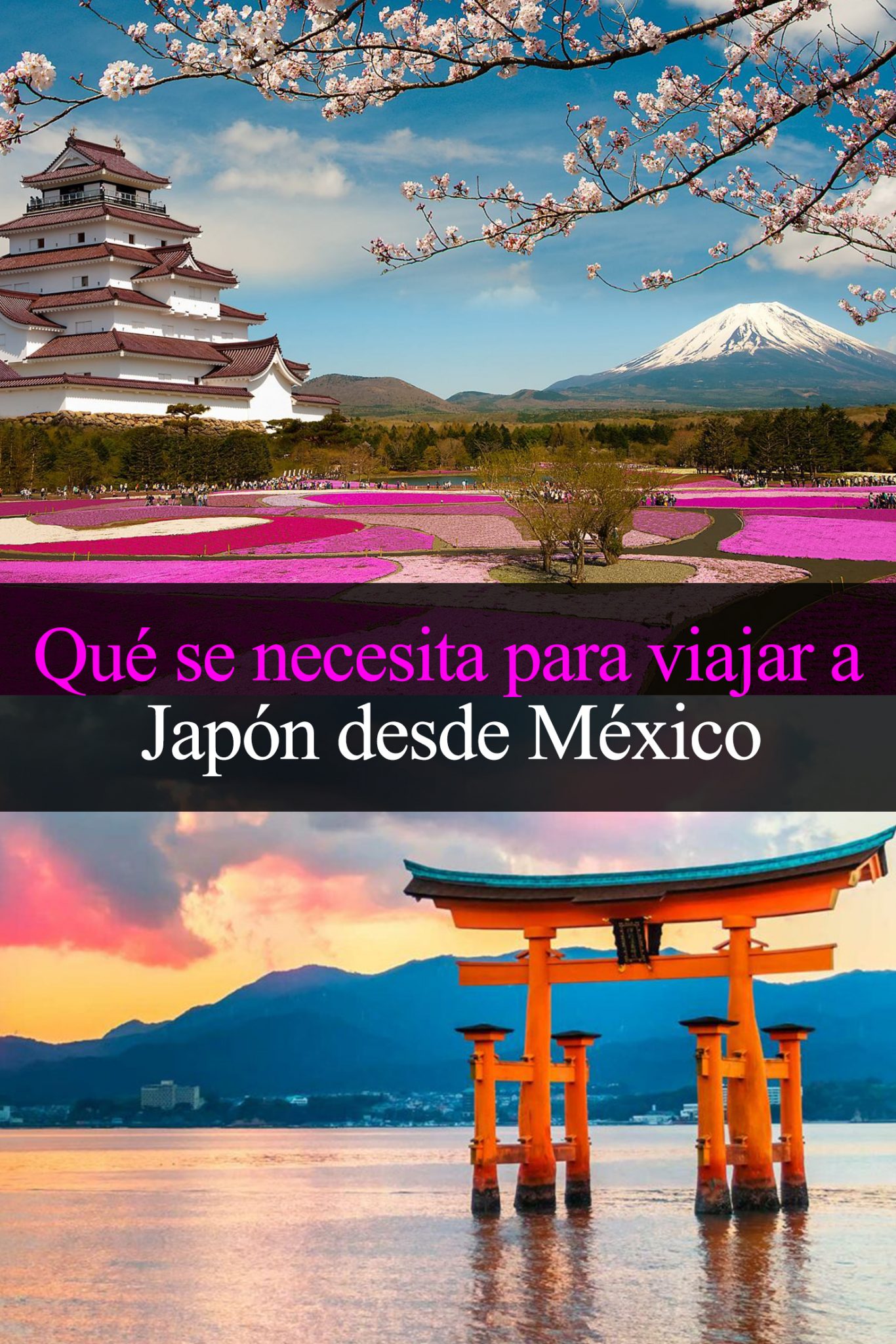 tours japon desde mexico