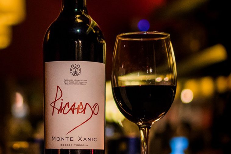 Los 12 mejores vinos tintos mexicanos caros que debes probar Tips