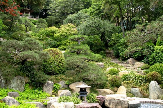 21 cosas que hacer y ver en Beverly Hills - Tips Para Tu Viaje