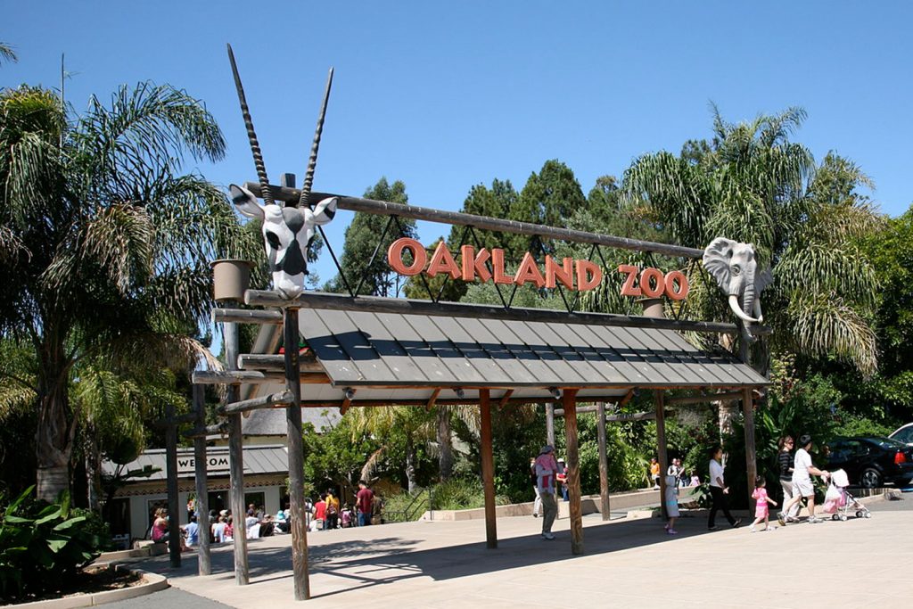 Los 17 zoológicos más grandes del mundo que debes vistiar Tips Para Tu Viaje