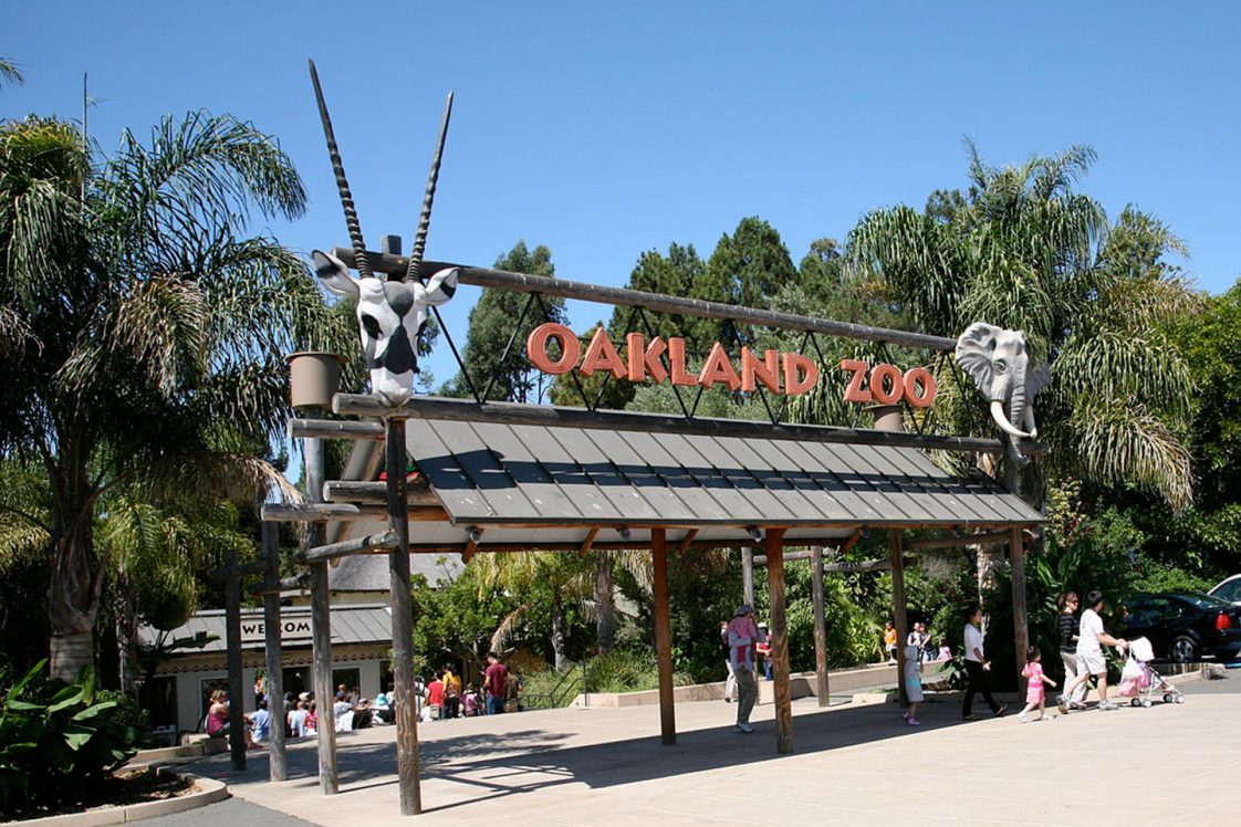 Los 17 zoológicos más grandes del mundo que debes vistiar Tips Para