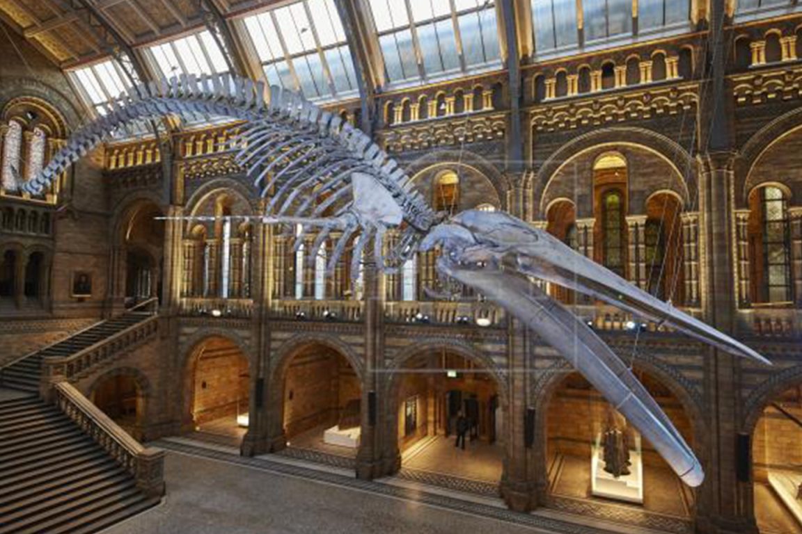 35 lugares turísticos de Londres que debes conocer - Tips Para Tu Viaje