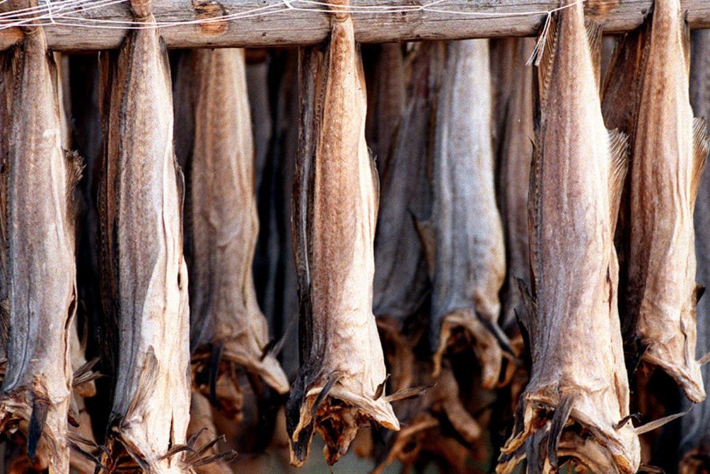 Stockfish of Haddock 20kg main image 0